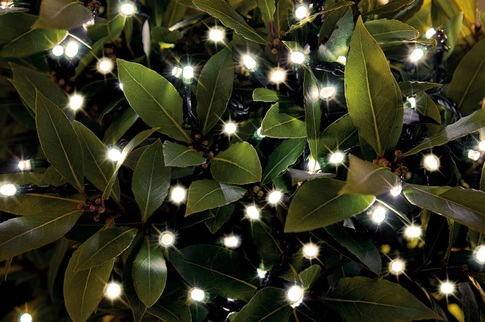 Gazebo Spare Parts Outdoor Lighting - LED String Lights 3 Gazebo Spare Parts Outdoor Lighting - LED String Lights